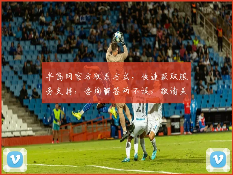 半岛网官方联系方式，快速获取服务支持，咨询解答两不误，敬请关注
