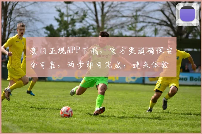 澳门正规APP下载，官方渠道确保安全可靠，两步即可完成，速来体验